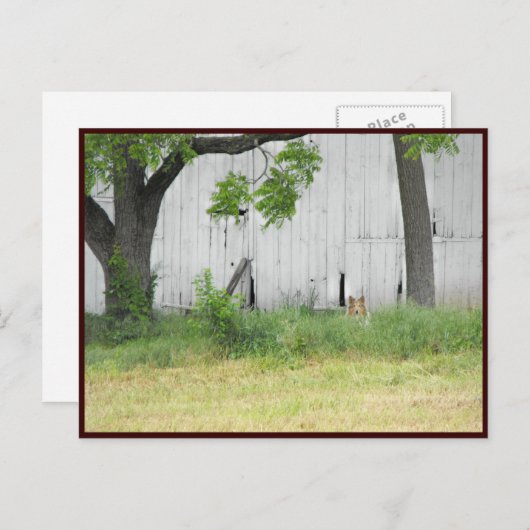 ～春36～ ポストカード (正面/裏面)