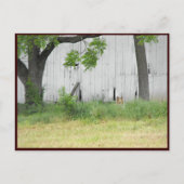 ～春36～ ポストカード (正面)