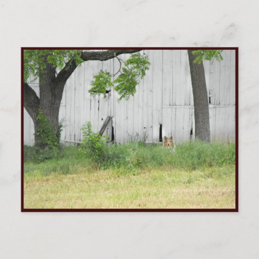 ～春36～ ポストカード (正面)