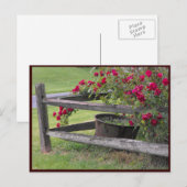 ～春41 to ポストカード (正面/裏面)