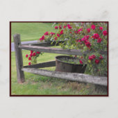 ～春41 to ポストカード (正面)