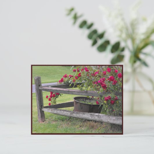 ～春41 to ポストカード (スタンド正面)