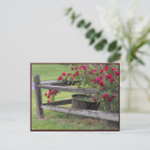 ～春41 to ポストカード (スタンド正面)