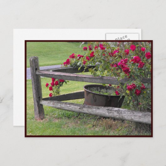 ~春41 to ポストカード (正面/裏面)