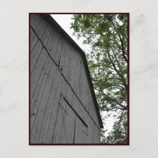 ～春43～ ポストカード (正面)