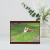 ~春46 to ポストカード (スタンド正面)