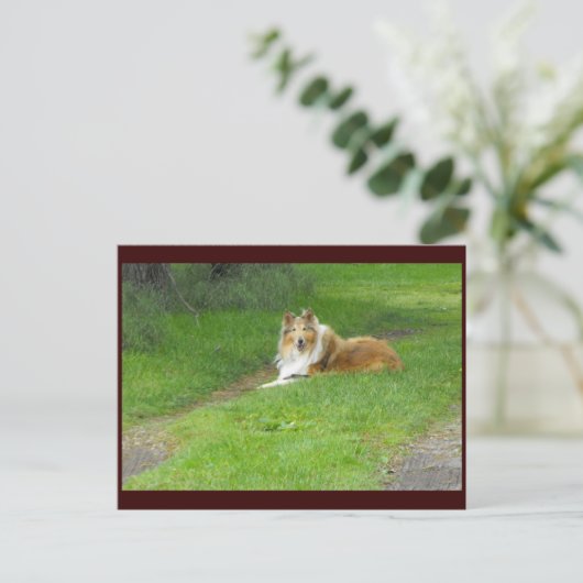 ~春46 to ポストカード (スタンド正面)