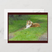 ~春46 to ポストカード (正面/裏面)