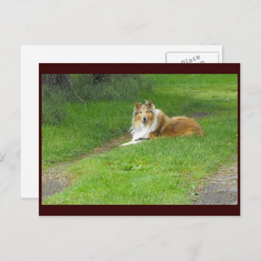 ~春46 to ポストカード (正面/裏面)