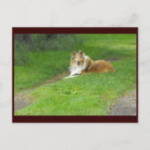 ～春46 to ポストカード (正面)