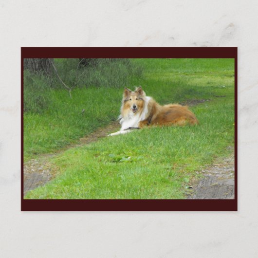 ~春46 to ポストカード (正面)