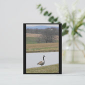 ～春65 to ポストカード (スタンド正面)