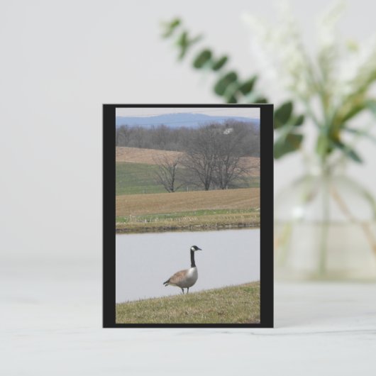 ～春65 to ポストカード (スタンド正面)