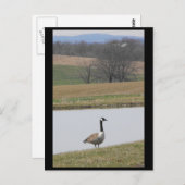 ～春65 to ポストカード (正面/裏面)