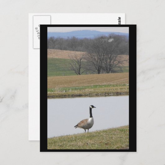 ～春65 to ポストカード (正面/裏面)