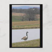 ～春65 to ポストカード (正面)