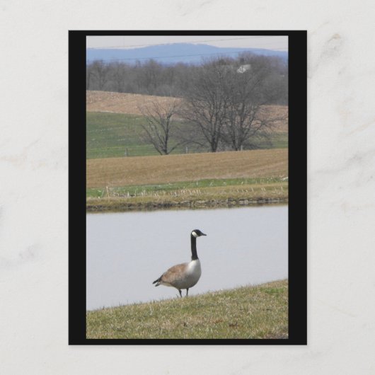 ～春65 to ポストカード (正面)