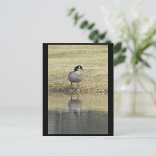 ～春71～ ポストカード (スタンド正面)