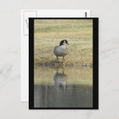 ～春71～ ポストカード (正面/裏面)