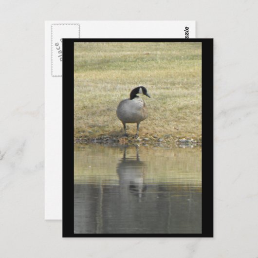 ～春71～ ポストカード (正面/裏面)