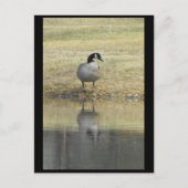 ～春71～ ポストカード (正面)