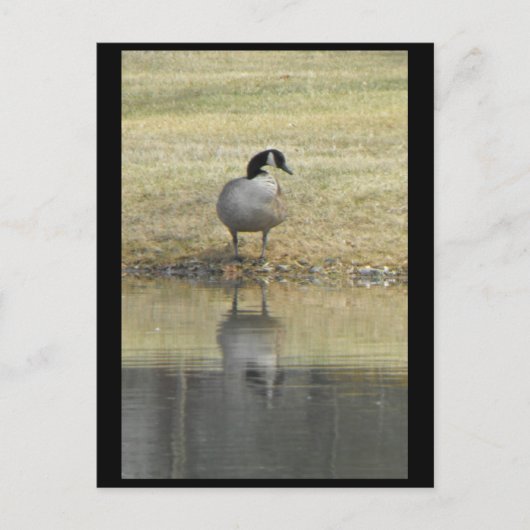 ～春71～ ポストカード (正面)