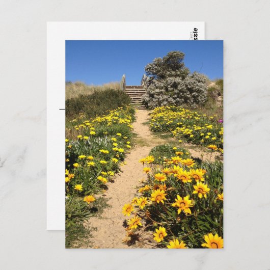 春90マイルビーチ(オーストラリア) ポストカード (正面/裏面)