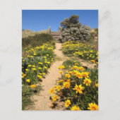 春90マイルビーチ(オーストラリア) ポストカード (正面)