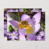 春!カスタム文字 ポストカード (正面/裏面)