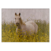 春 カッティングボード (正面)