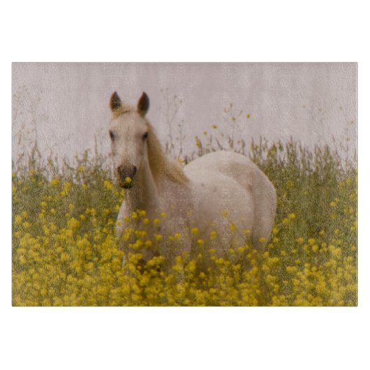 春 カッティングボード (正面)