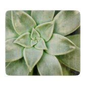 春 カッティングボード (正面)