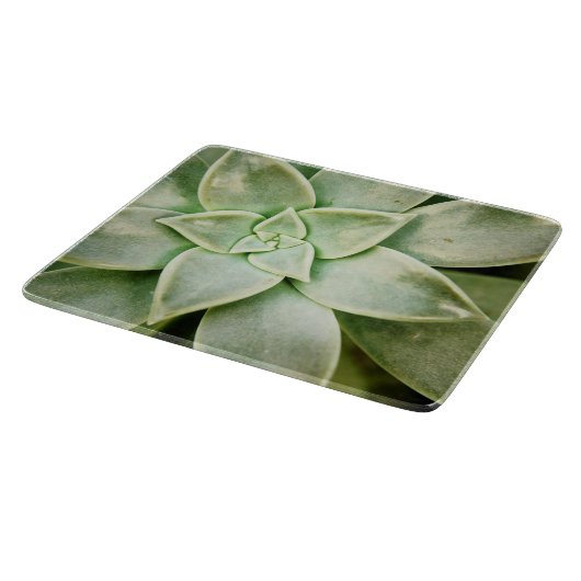 春 カッティングボード (角)