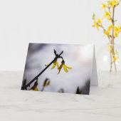 春 カード (黄色い花)