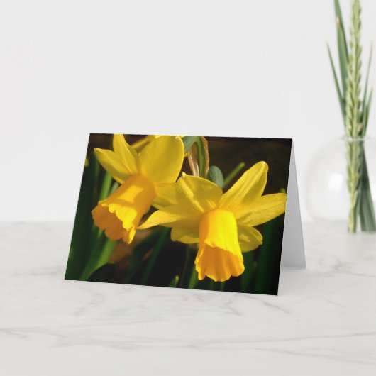 春 カード (正面)