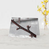 春 カード (黄色い花)