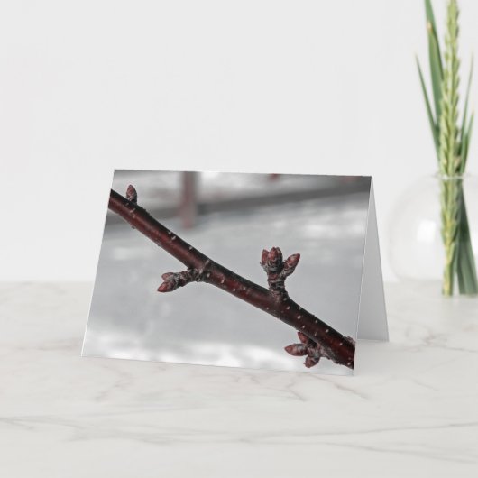 春 カード (正面)