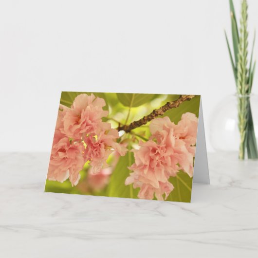 春 カード (正面)