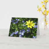 春 カード (黄色い花)