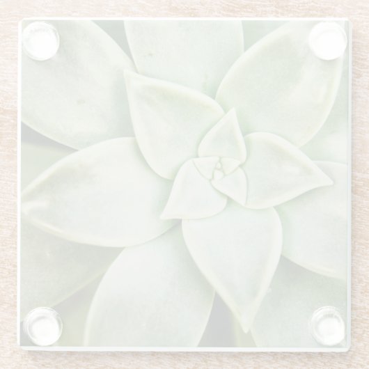 春 ガラスコースター (裏面)