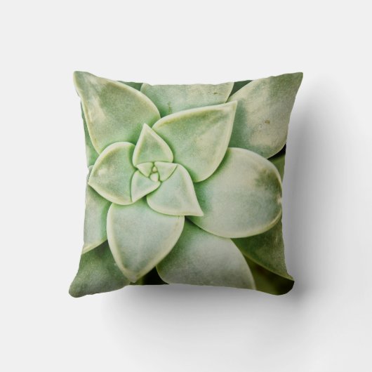 春 クッション (裏面)