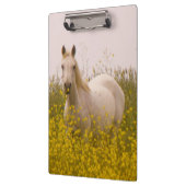 春 クリップボード (左)