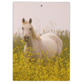 春 クリップボード (裏面)