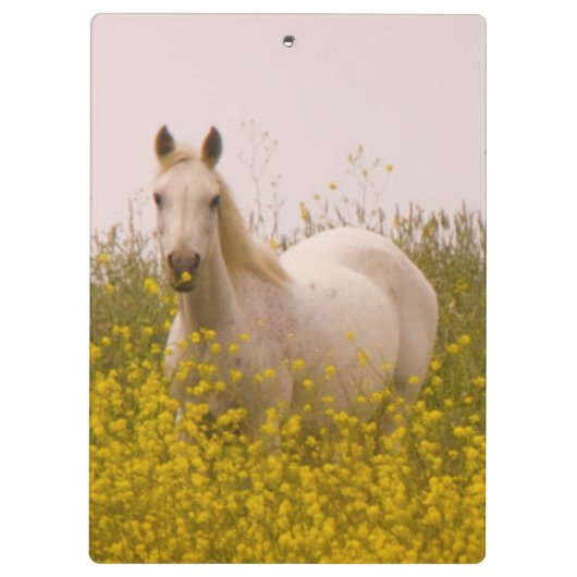 春 クリップボード (裏面)