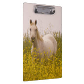 春 クリップボード (右)