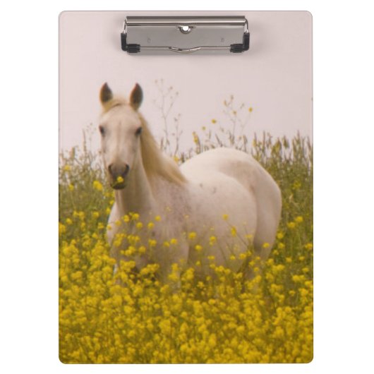 春 クリップボード (正面)