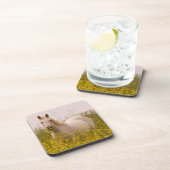 春 コースター (右側)