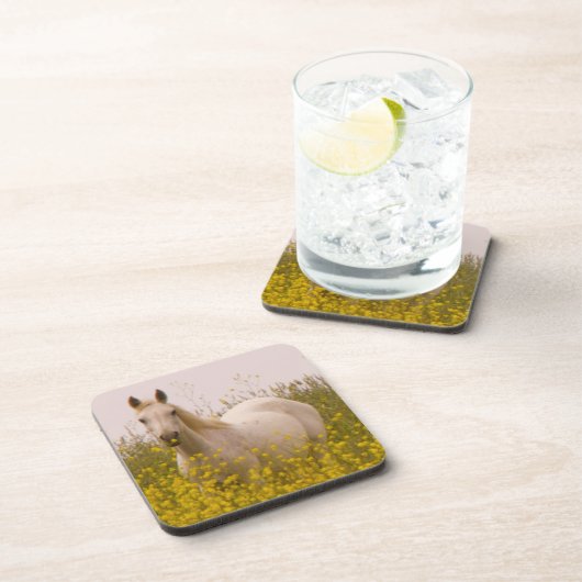 春 コースター (右側)