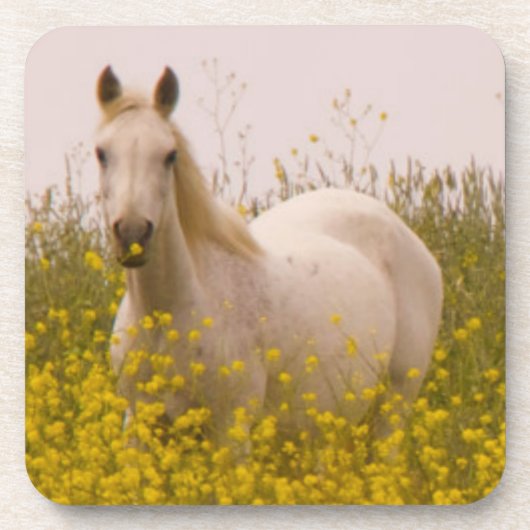 春 コースター (正面)