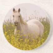 春 コースター (正面)